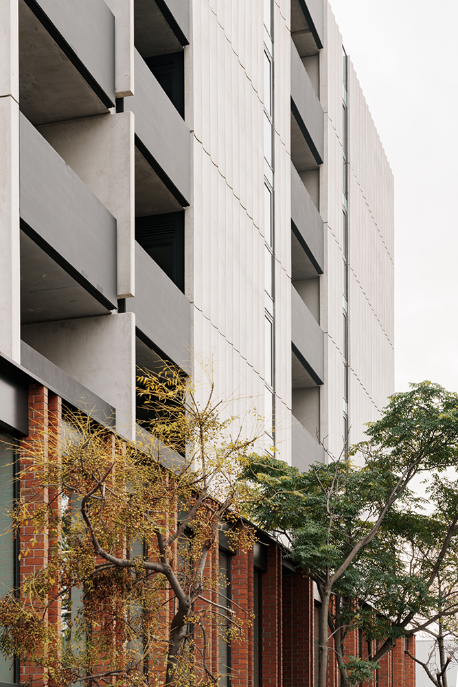 Assemble 15 Thompson Street, Kensington Hayball